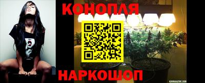тгк Жуковский