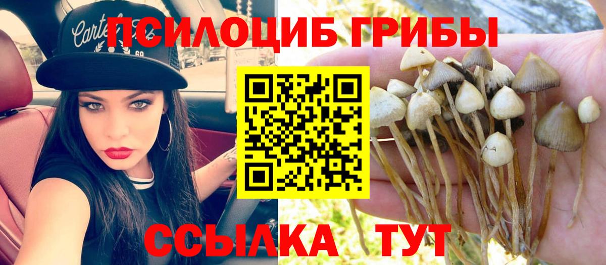 закладки  Вход с VPN  Глазов  Псилоцибиновые грибы мухоморы 
